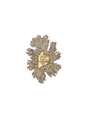 Sarva Brooch