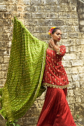 Rust Line Embroidered Sharara Set