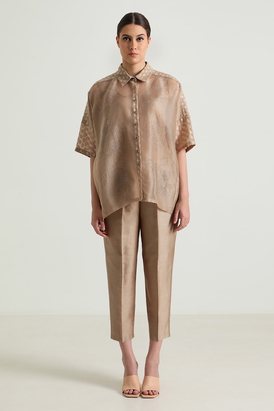 Beige Organza Lace Shirt and Straight Pant in Silk Chanderi